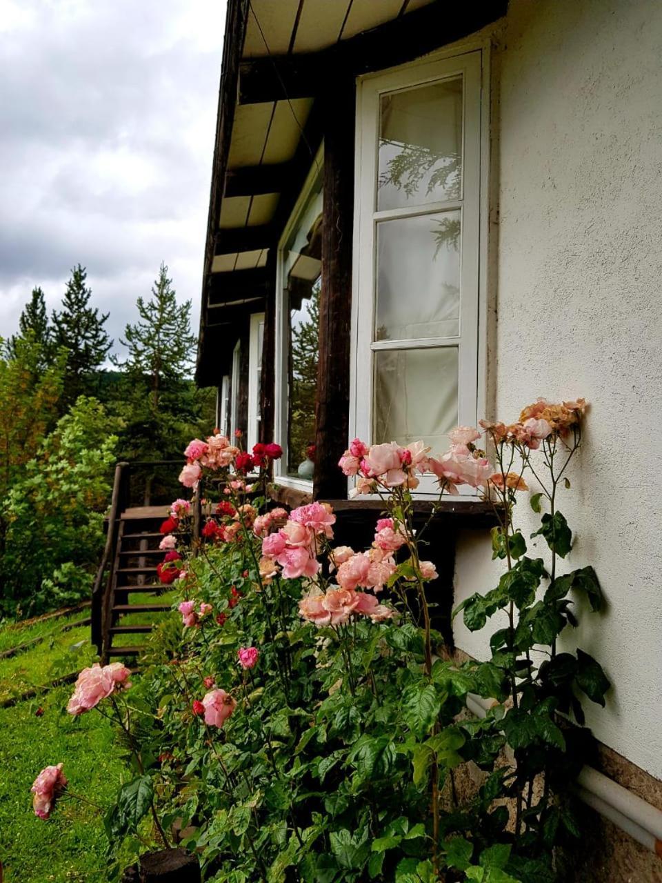 The Patagonian Lodge Койхайке Екстериор снимка